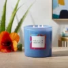 28oz Glass Moonlit Hibiscus Candle Light Blue - Opalhouse™ 2 28oz Glass Moonlit Hibiscus Candle Light Blue - Opalhouse™ -Opalhouse Store GUEST 2c95080b 9726 45aa 9b0e 3946015c92e0