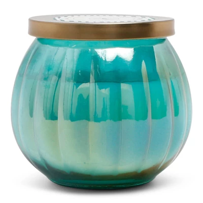 14oz Lidded Glass Jar Candle Driftwood & Sea Salt - Fresh Collection - Opalhouse™ 2 14oz Lidded Glass Jar Candle Driftwood & Sea Salt - Fresh Collection - Opalhouse™