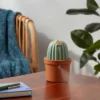 Cactus Ultrasonic Diffuser Green - Opalhouse™ -Opalhouse Store GUEST be681bb5 49e3 41f7 99a3 5bc52fb79585